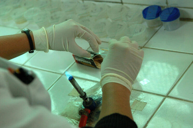 Testing for tuberculosis in the lab. Photo: PATH/Mike Wang