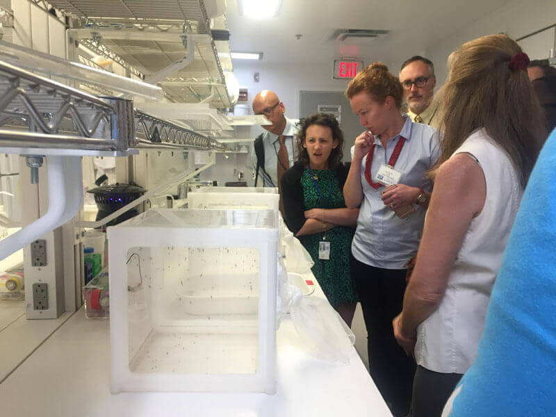 The delegation checks out the mosquitoes that CDC is studying at its lab in Atlanta. Photo: Courtney Carson/GHTC